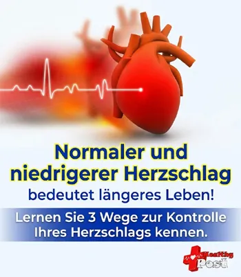 heart beat